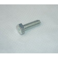 FRONT FORKS - SCREW WITH FINE THREAD - FOR WHEEL AXIS (ON GLIDER)